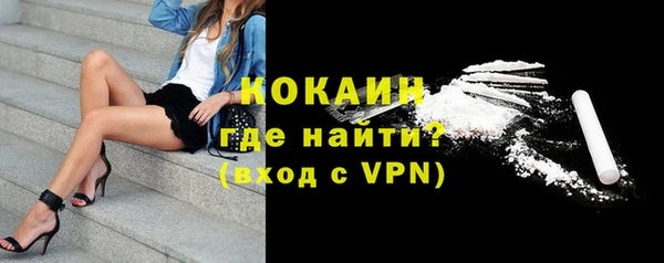 гидра Белокуриха