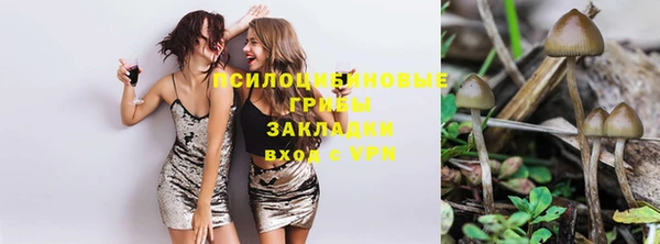 гидра Белокуриха