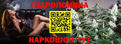 СК Владивосток