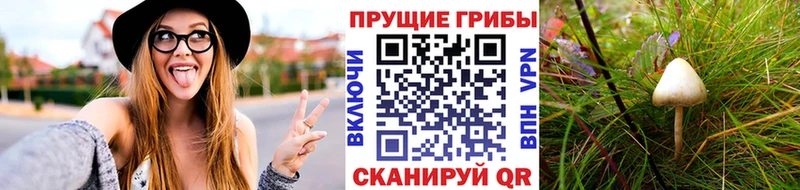 МЕГА ТОР  Верхняя Пышма  Псилоцибиновые грибы MAGIC MUSHROOMS  продажа наркотиков 