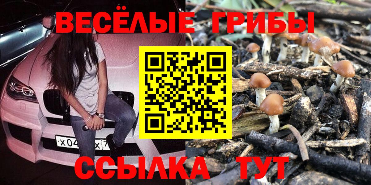 Верхняя Пышма  цены наркотик  Вход с VPN  Галлюциногенные грибы прущие грибы  Псилоцибиновые грибы ЛСД 