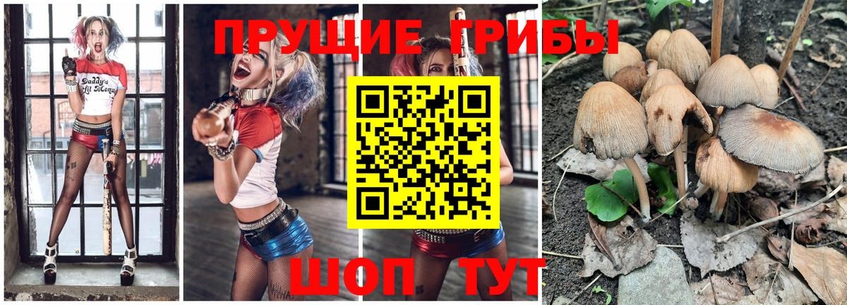 Галлюциногенные грибы GOLDEN TEACHER Верхняя Пышма